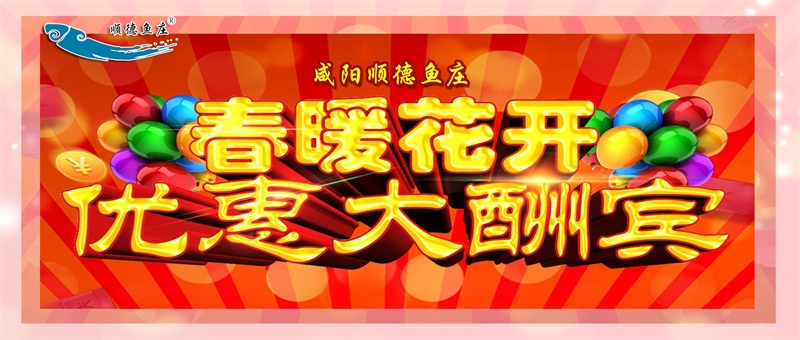 咸阳顺德鱼庄充值有惠